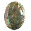 Muschel Cabochons